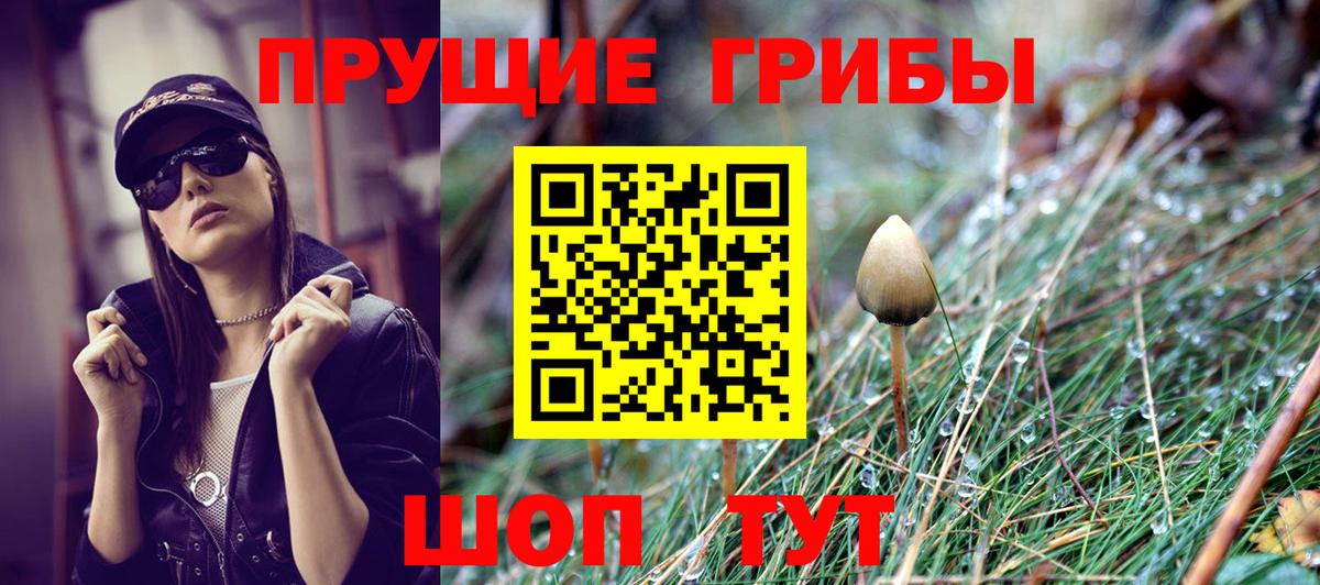 Псилоцибиновые грибы мухоморы  Галлюциногенные грибы мухоморы  Ленинск-Кузнецкий  Вход с VPN 